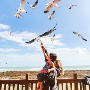 Meet your Posher, Kelli